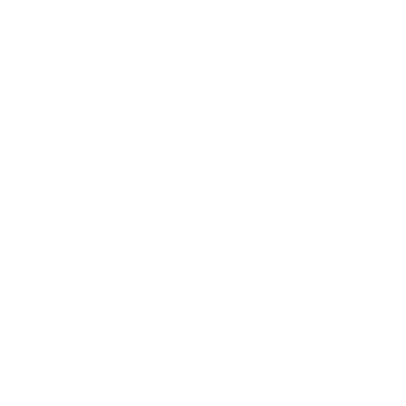 Portapulse Logo
